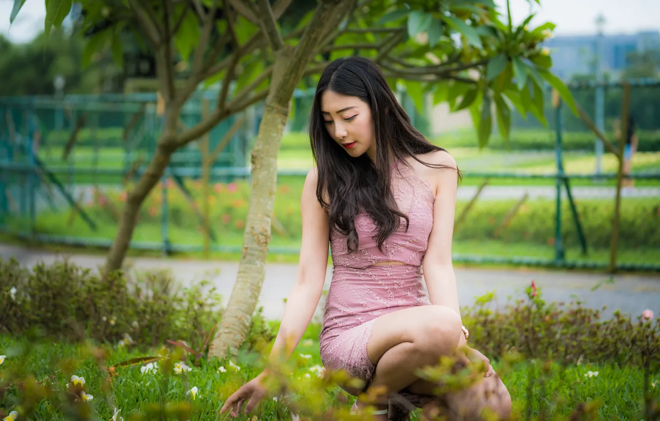 Фото обои трава, девушка, милая, азиатка, сидит, боке