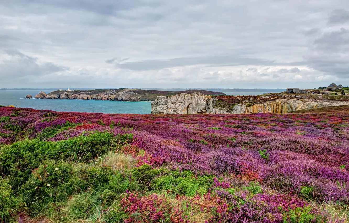 Фото обои море, небо, облака, пейзаж, цветы, скалы, Франция, bretagne