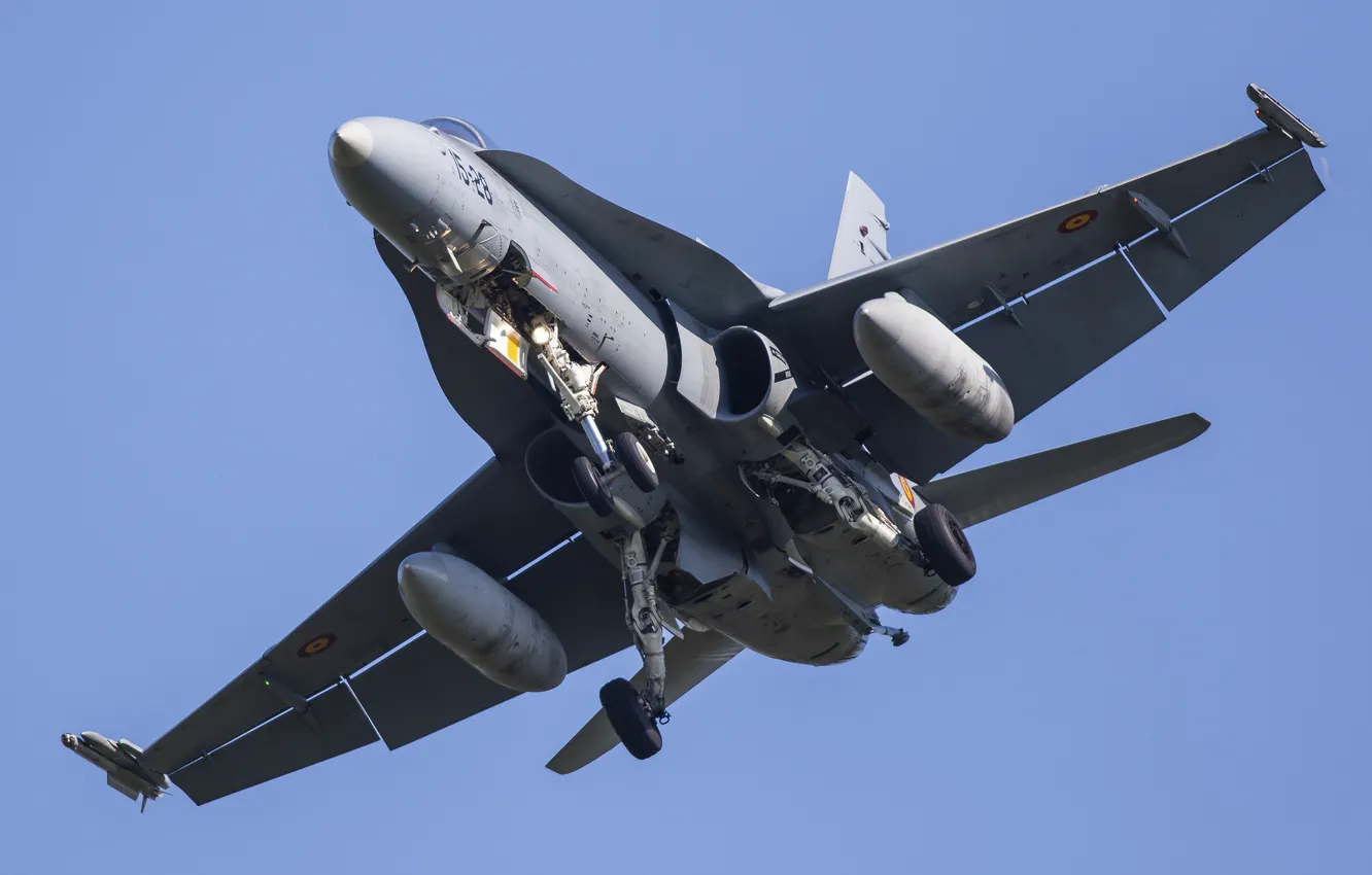 Фото обои Hornet, McDonnell Douglas, EF-18AM