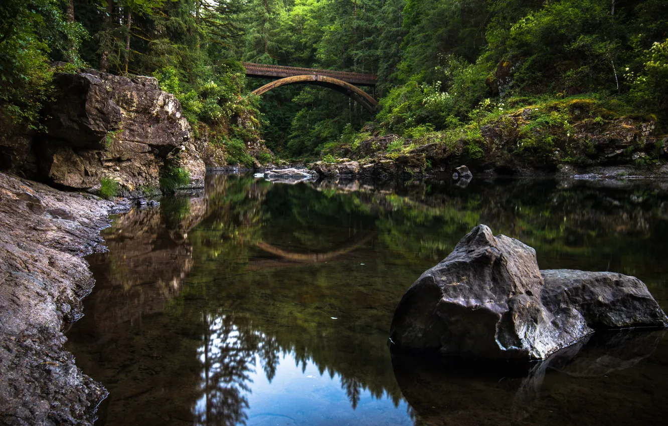 Фото обои лес, мост, отражение, река, камень, Washington, штат Вашингтон, река Льюис