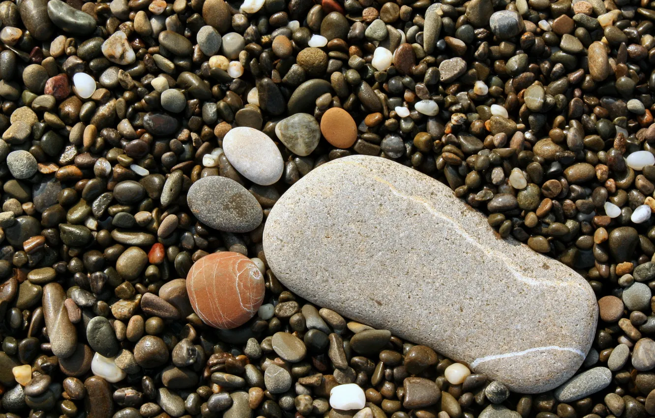 Фото обои камни, фон, нога
