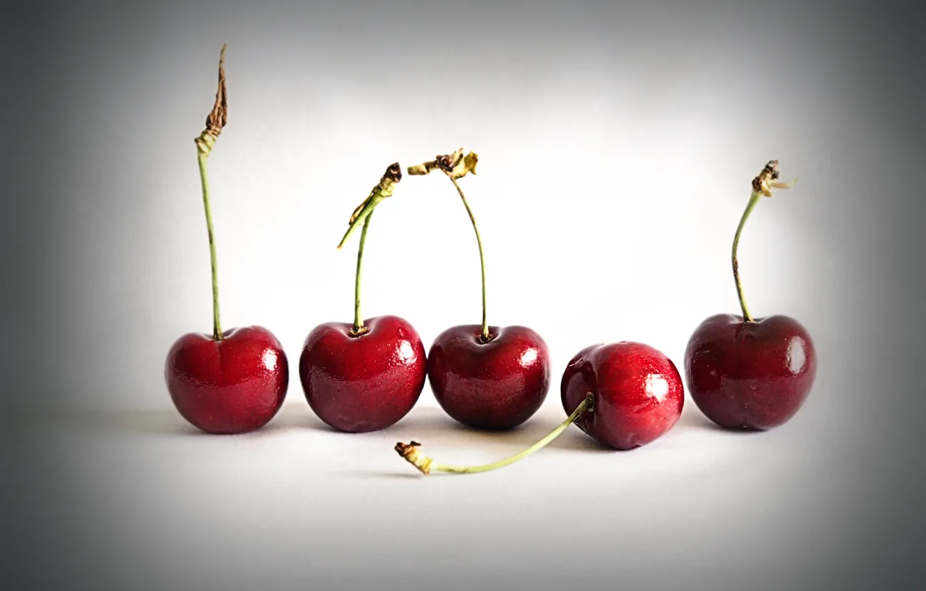 Фото обои вишня, ягоды, Cherry Ripe