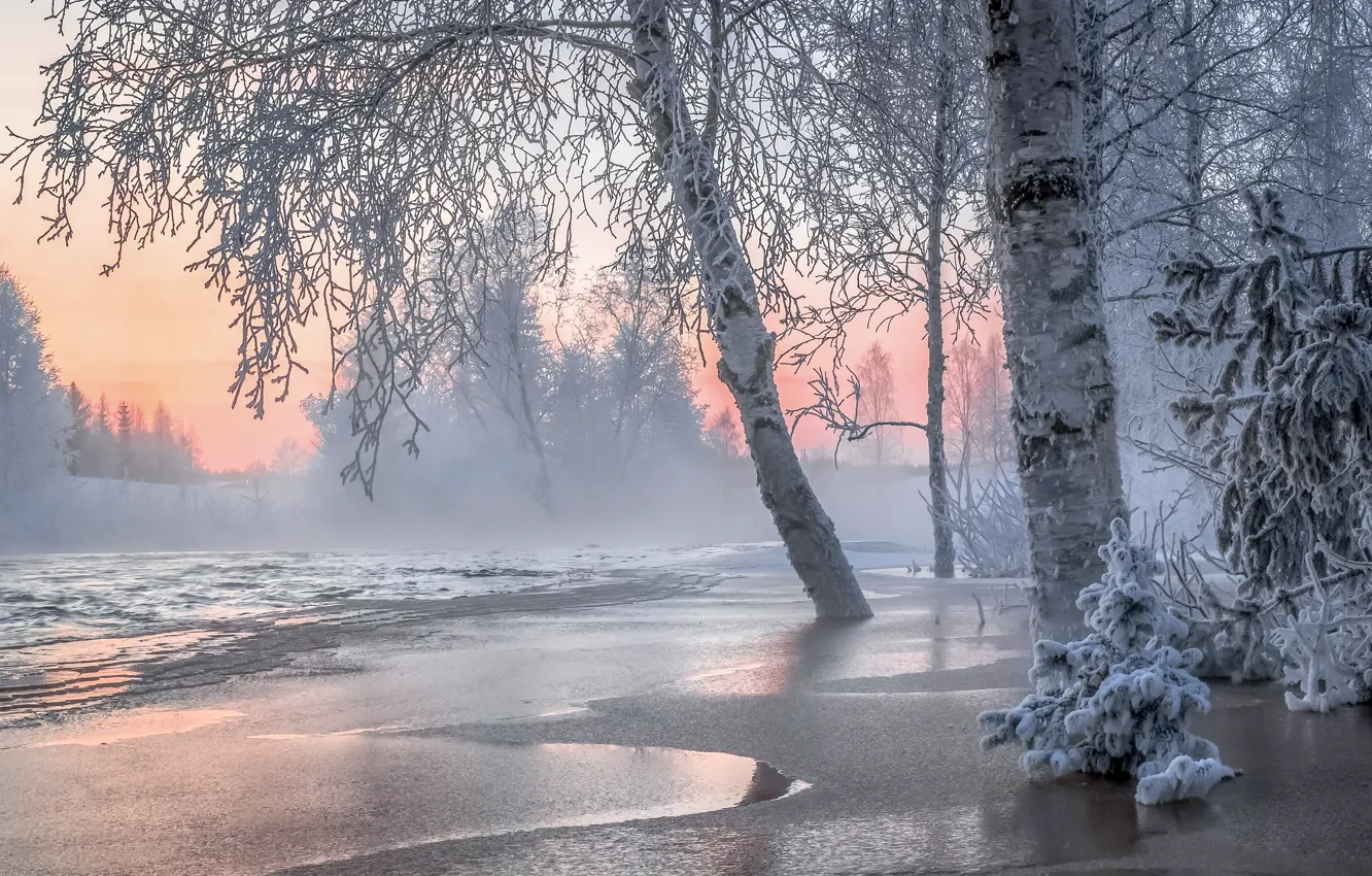 Фото обои Зима, Деревья, Снег, Winter, Frosty, Финляндия, Finland, Озерный край