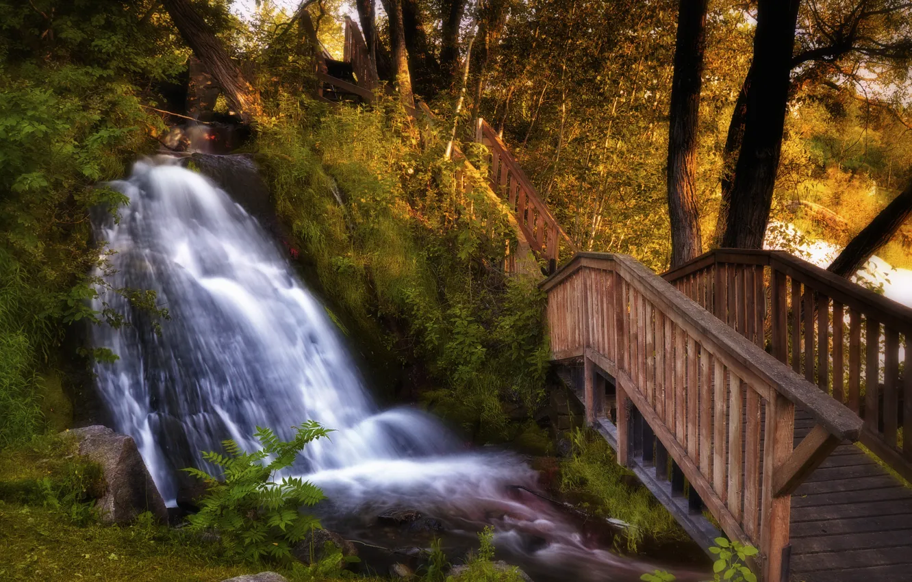 Фото обои осень, лес, пейзаж, природа, река, камни, водопад, Канада