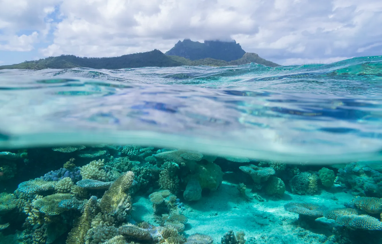 Фото обои море, кораллы, Бора-Бора, Тихий океан, Французская Полинезия, Подветренные острова