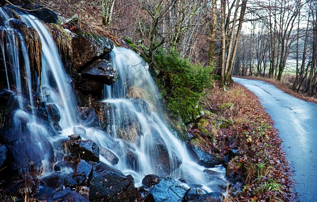 Фото обои дорога, осень, лес, вода, камни, водопад