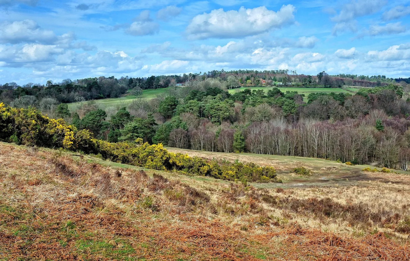 Фото обои пейзаж, сельская местность, East Sussex