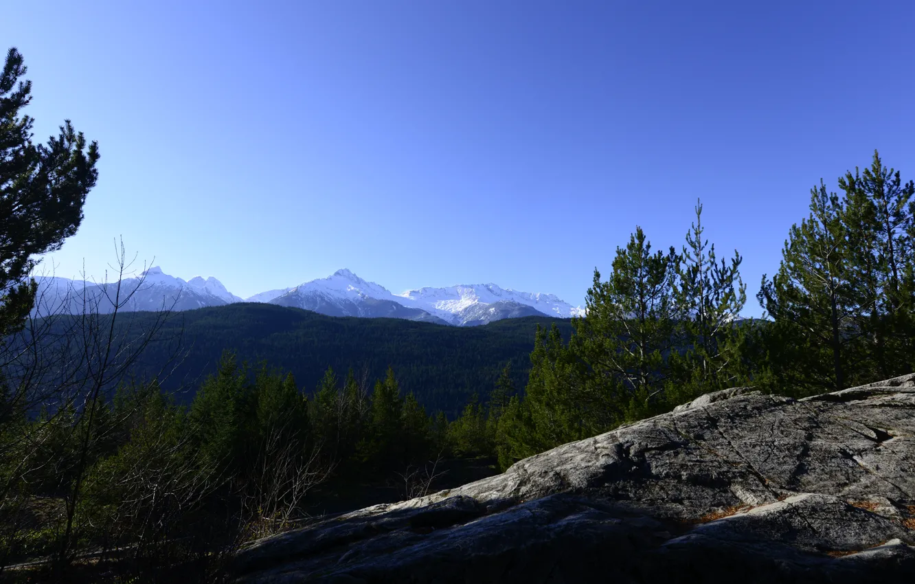 Фото обои vancouver, sky, trees, nature, mountain, snow, canada