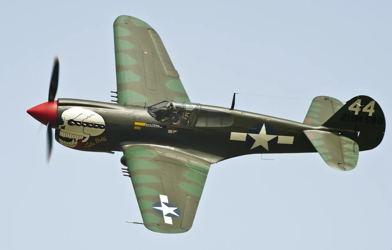 Фото обои полет, истребитель, Kittyhawk, P40