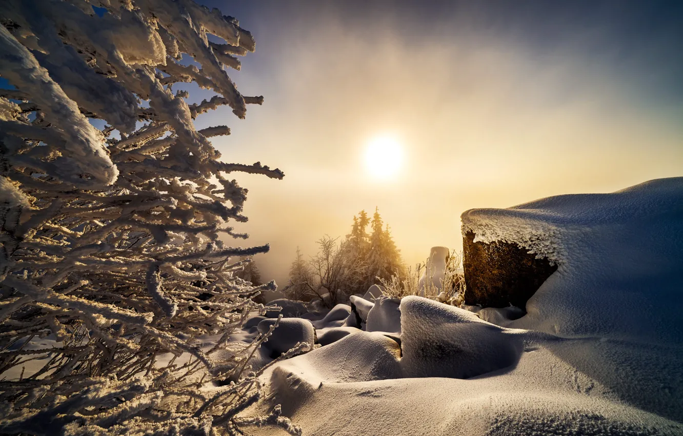 Фото обои зима, солнце, снег, деревья, пейзаж, природа, камни, утро