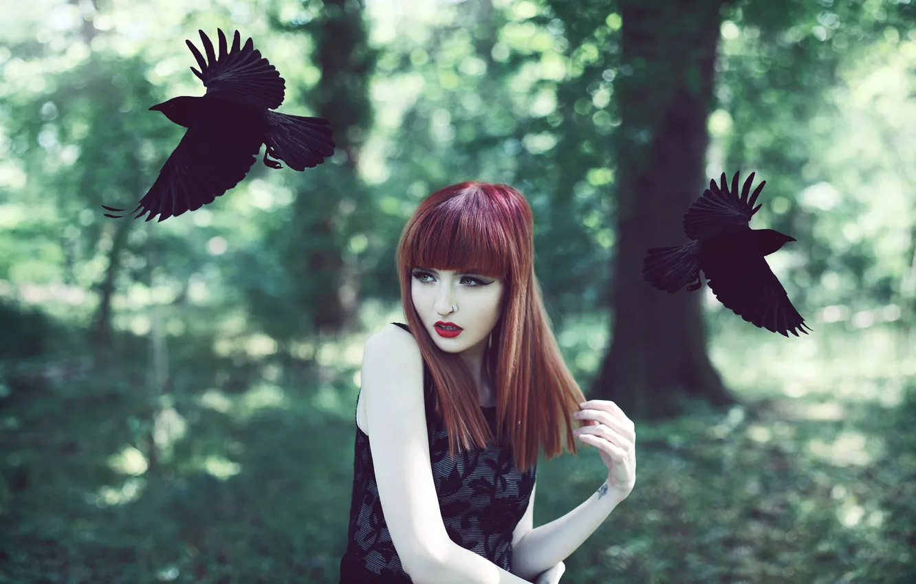 Фото обои девушка, птицы, вороны, рыжеволосая