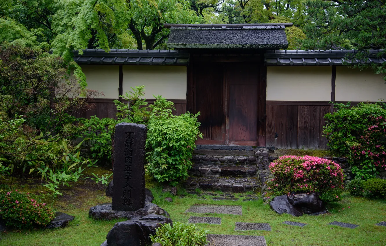 Фото обои Цветы, Природа, Япония, Стена, Сад, Камни