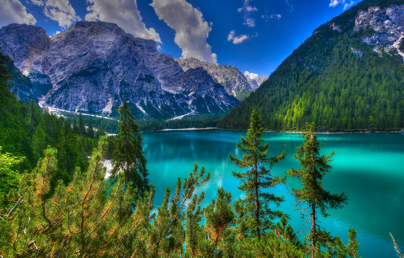 Фото обои лес, облака, деревья, пейзаж, горы, природа, озеро, Италия