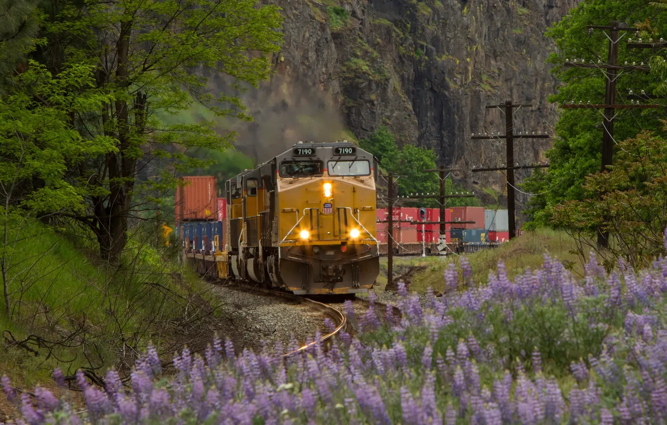 Фото обои природа, рельсы, поезд, железная дорога, локомотив