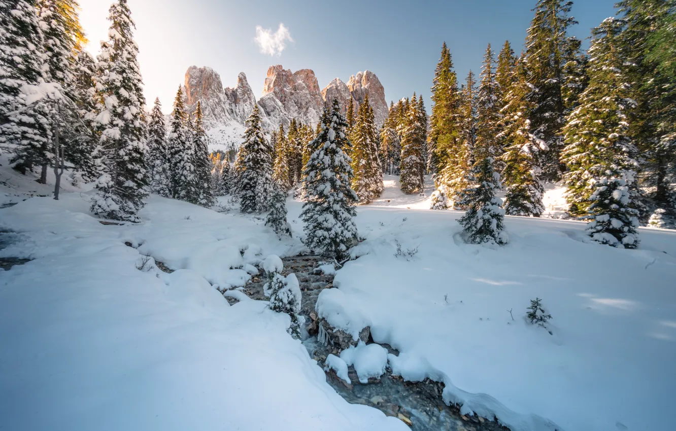 Фото обои Зима, Горы, Деревья, Снег, Доломитовые Альпы, Южный Тироль, South Tyrol, Dolomite Alps