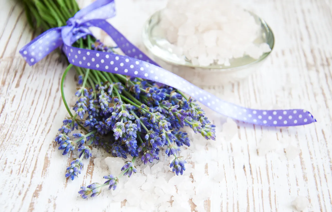Фото обои цветы, лента, бант, лаванда