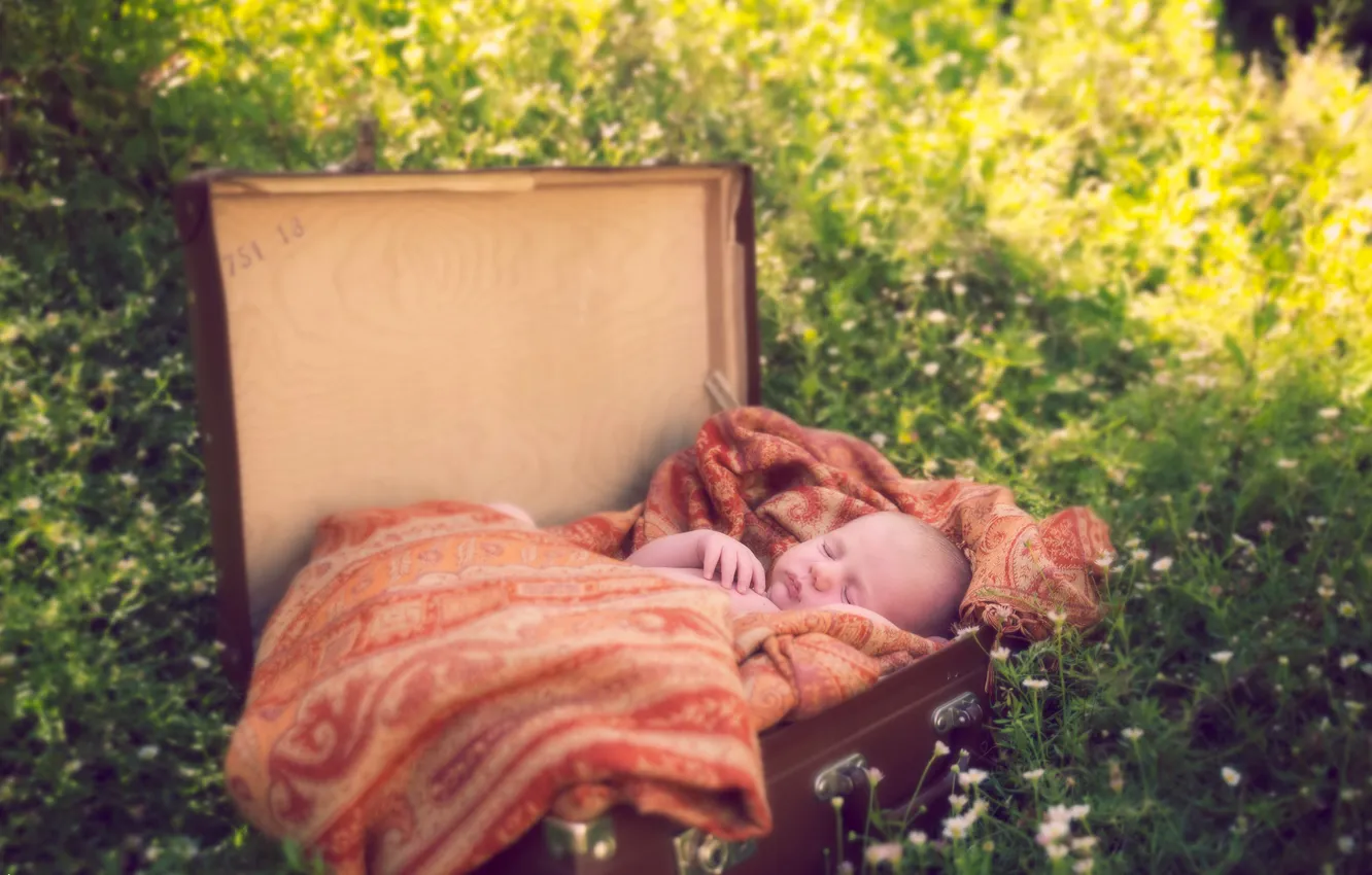 Фото обои фон, чемодан, младенец