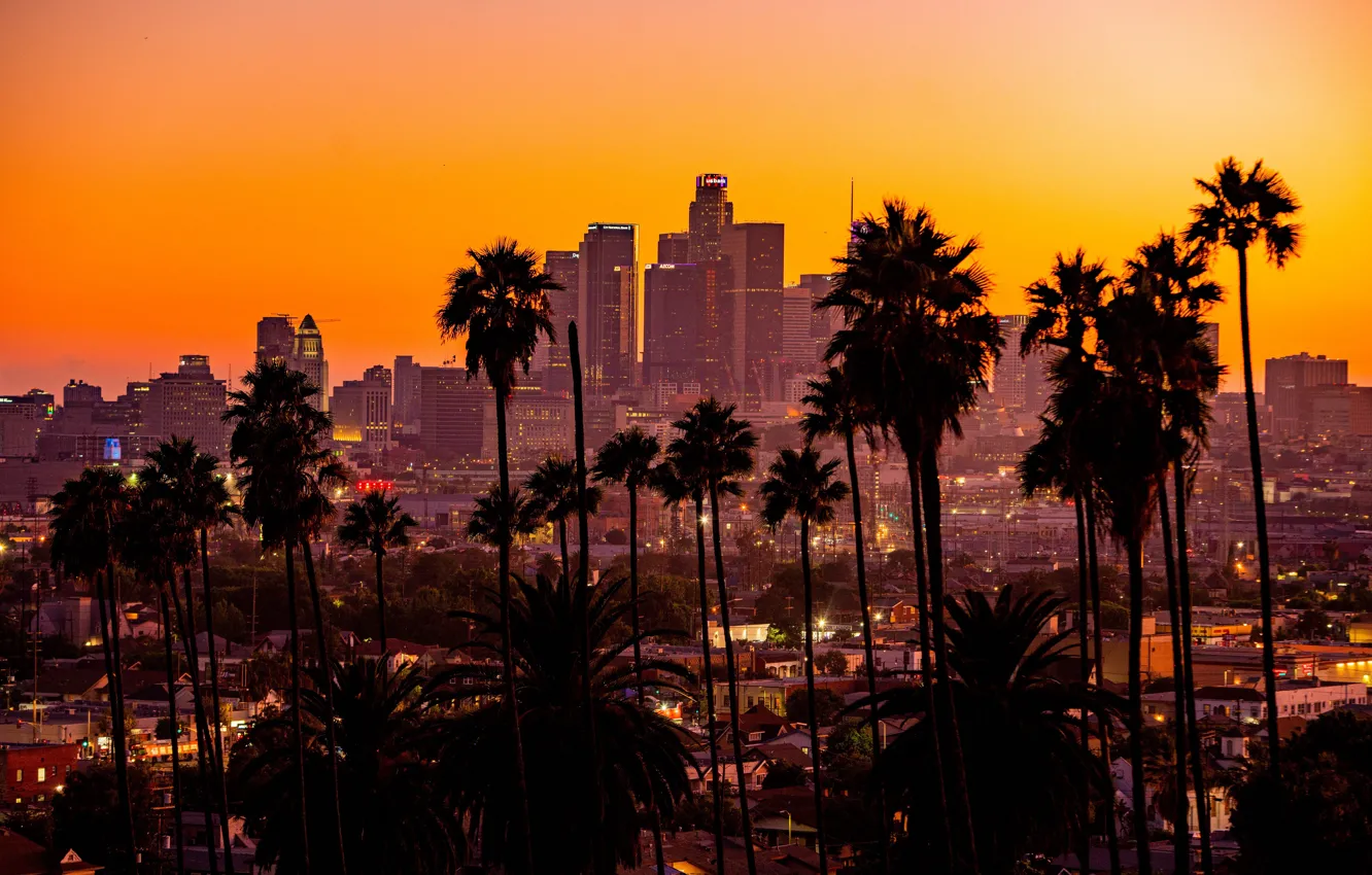 Фото обои city, sunset, California, palm trees, los angeles, buildings, skyscrapers