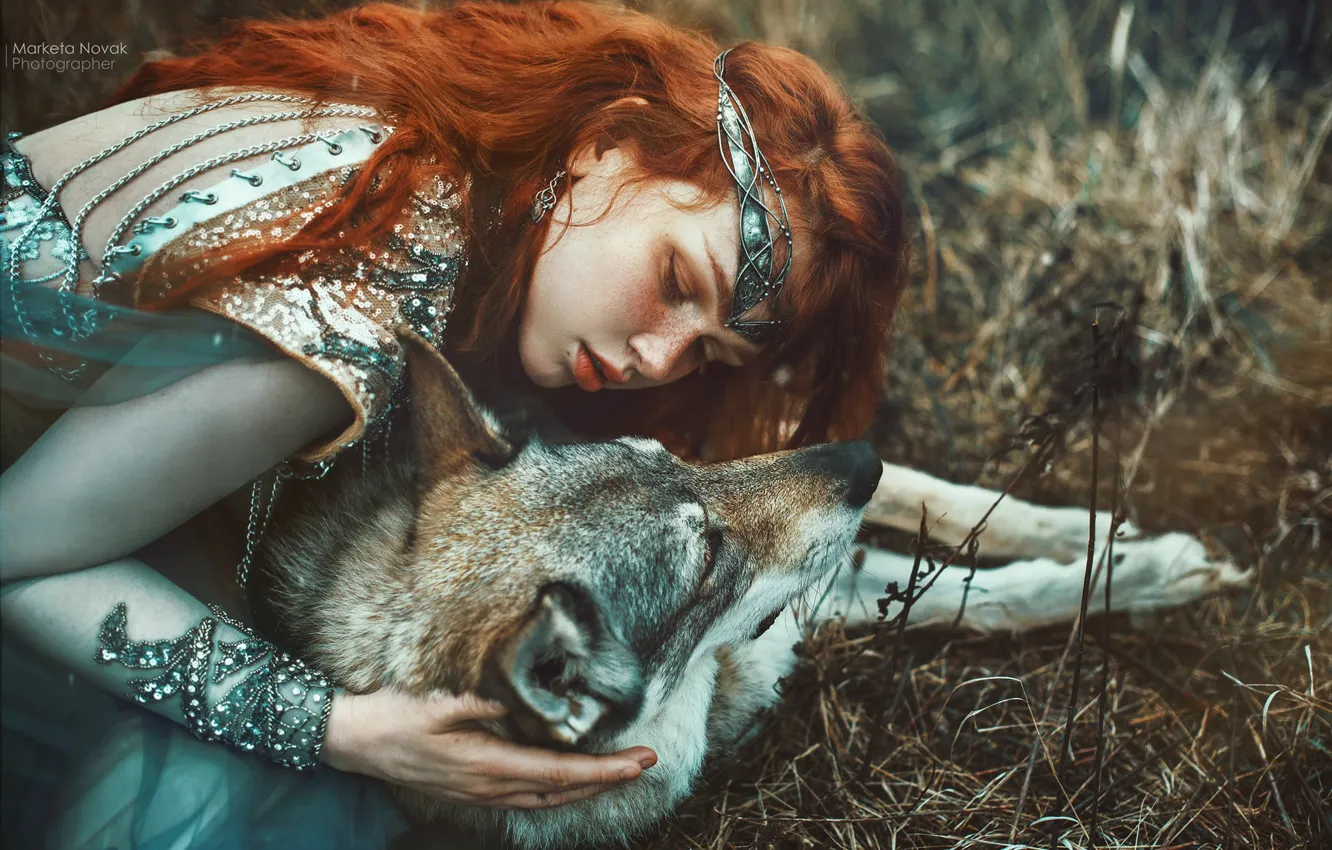 Фото обои девушка, волк, собака, рыжая, друзья, принцесса, рыжеволосая, Marketa Novak