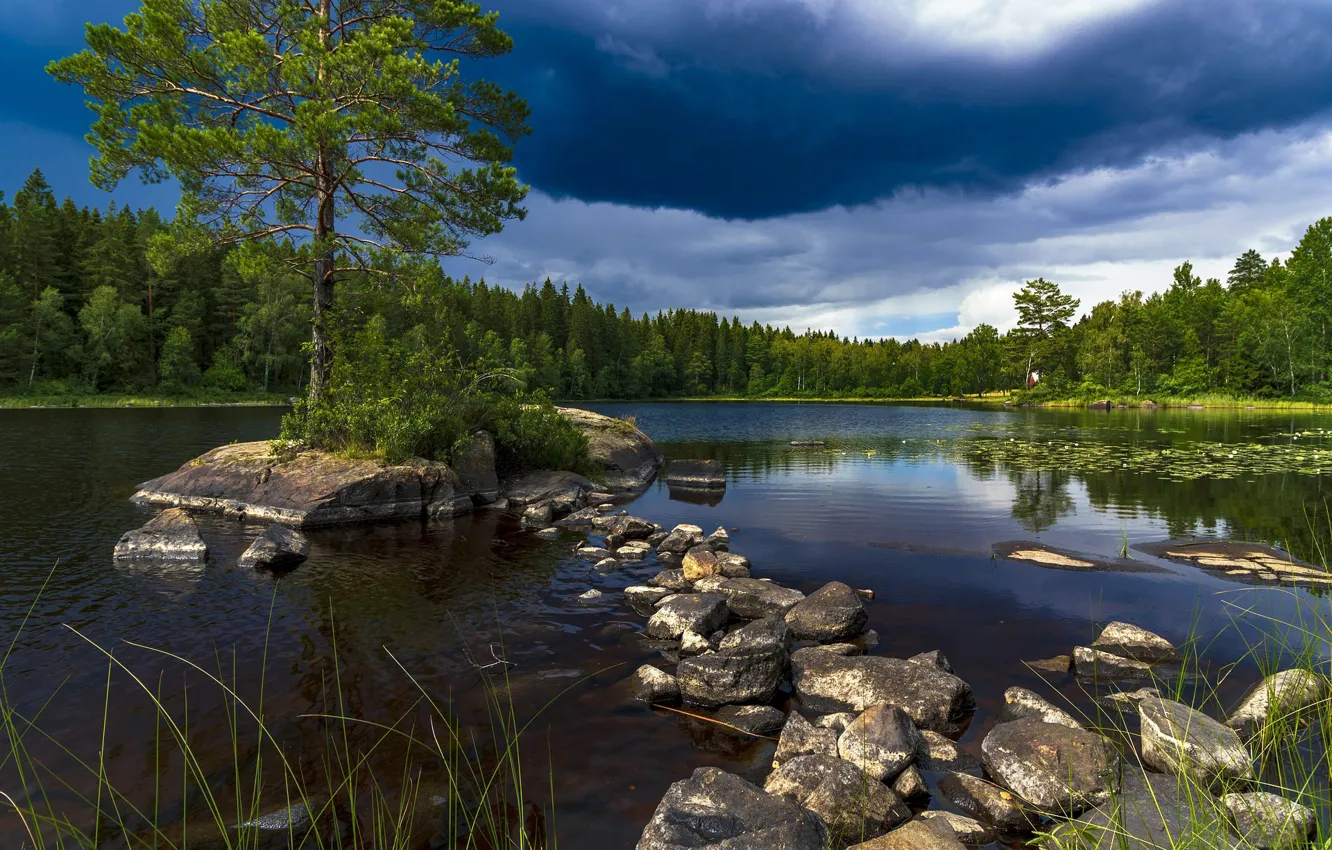 Фото обои лес, небо, вода, озеро, камни, дерево