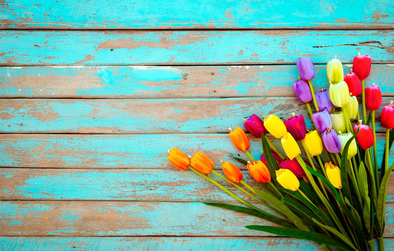 Фото обои цветы, доски, colorful, тюльпаны, wood, flowers, tulips, grunge