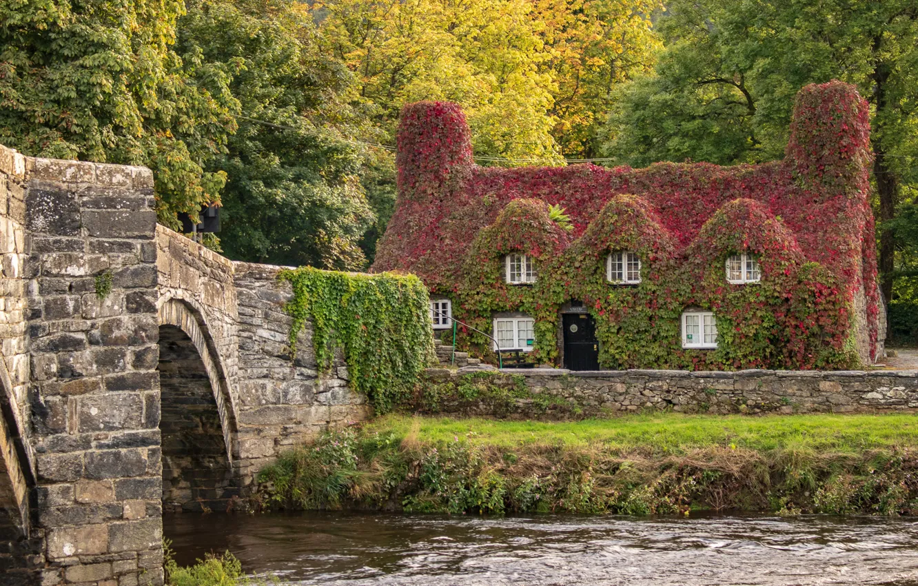 Фото обои осень, деревья, мост, дом, река, здание, Англия, England