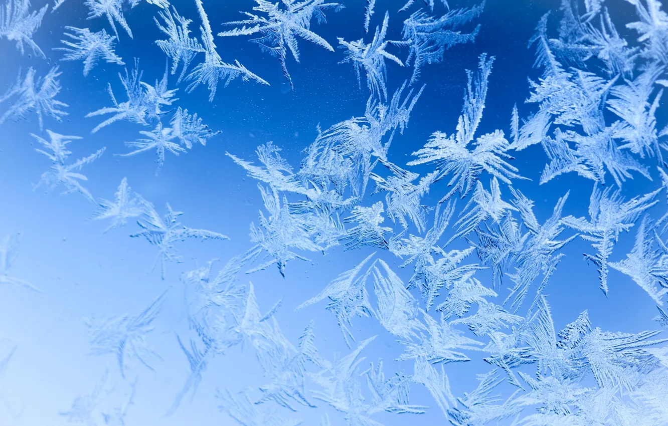 Фото обои зима, стекло, узоры, мороз
