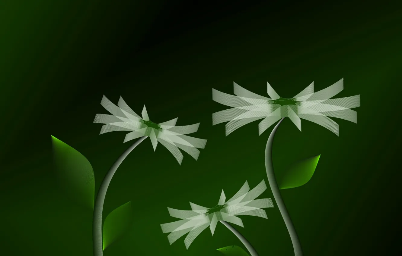 Фото обои flower, color