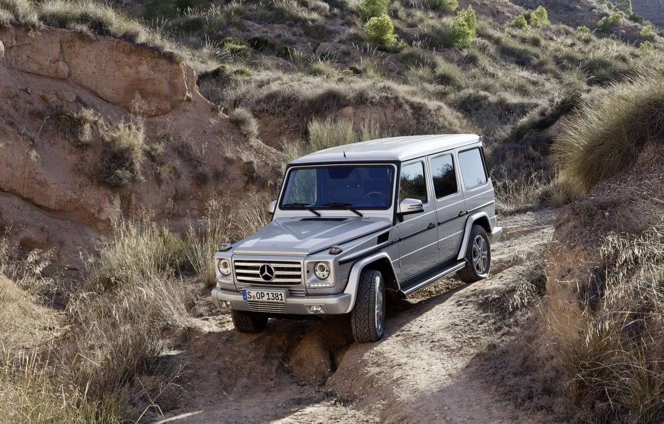 Фото обои трава, Mercedes-Benz, Мерседес, джип, внедорожник, бездорожье, передок, гелендваген