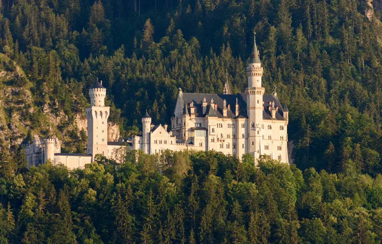 Фото обои лес, деревья, замок, Германия, Бавария, Germany, Bavaria, Neuschwanstein Castle