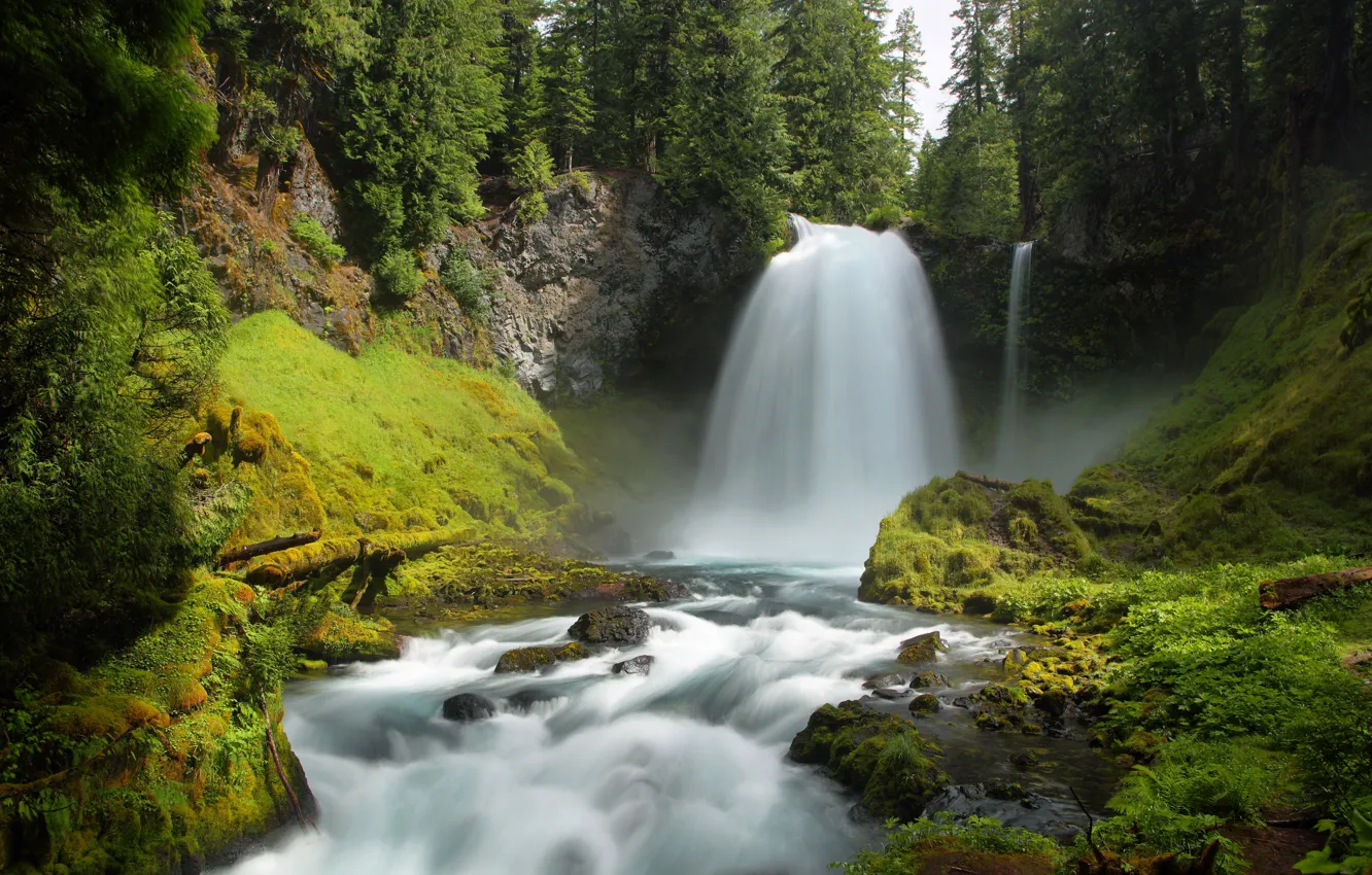 Фото обои лес, деревья, ручей, камни, водопад, мох, США, Oregon