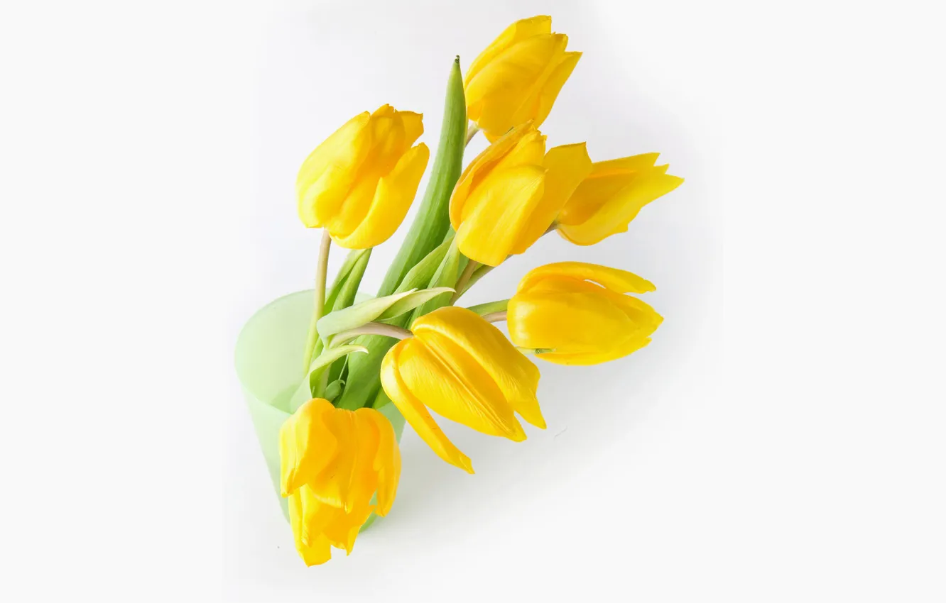Фото обои букет, желтые, тюльпаны, белый фон, ваза