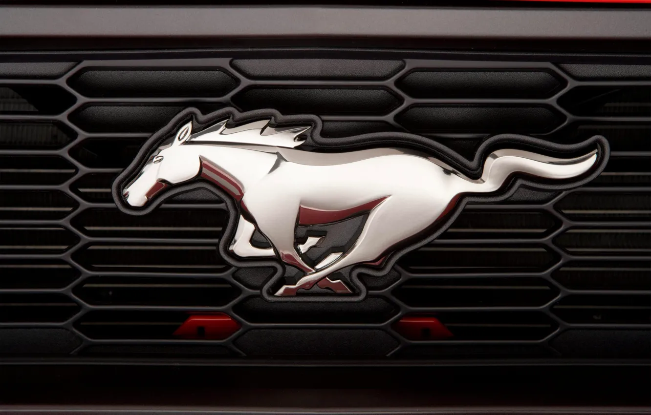 Фото обои Mustang, логотип, Мустанг