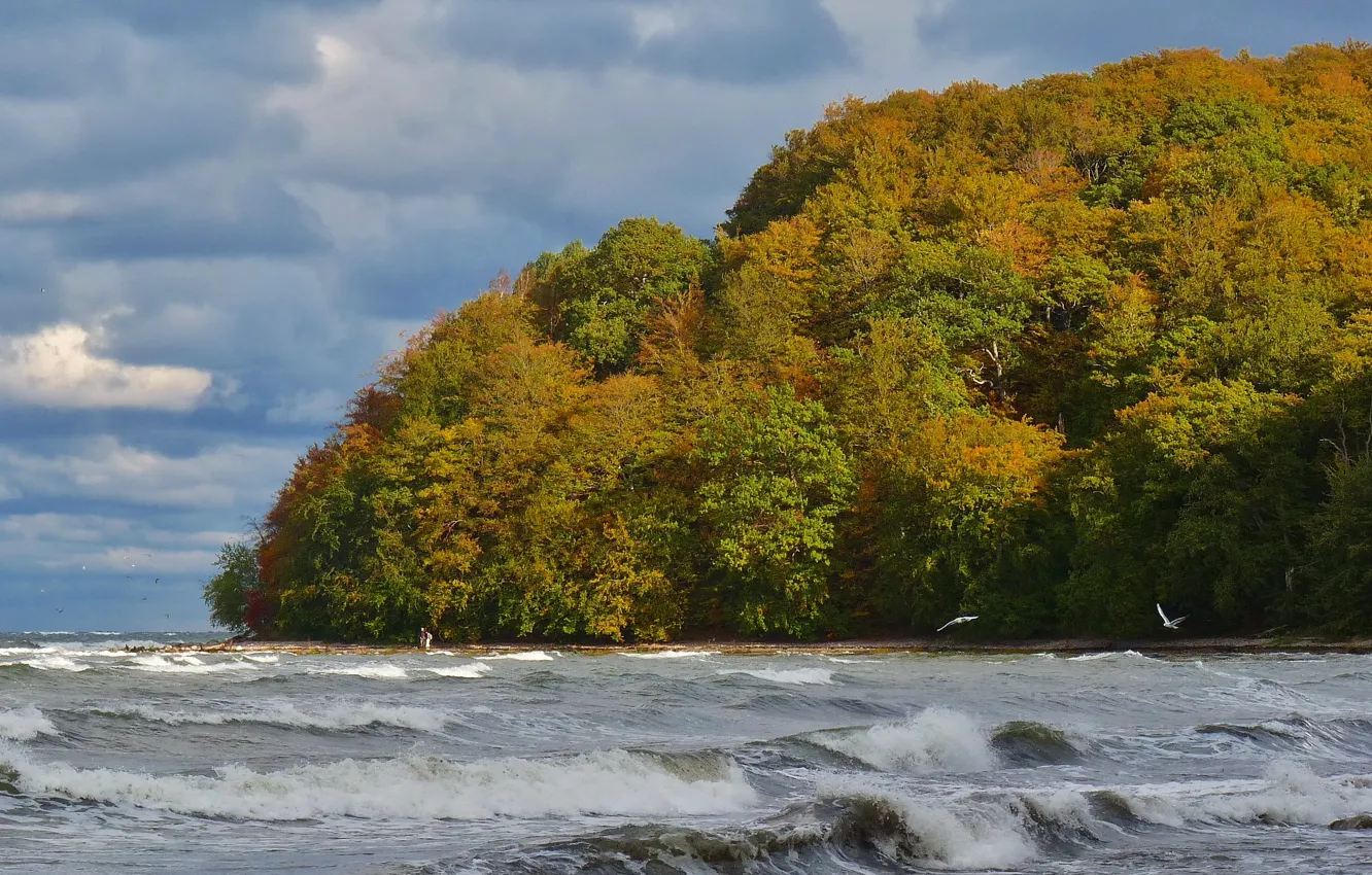 Фото обои море, волны, осень, небо, деревья, тучи, шторм, Природа