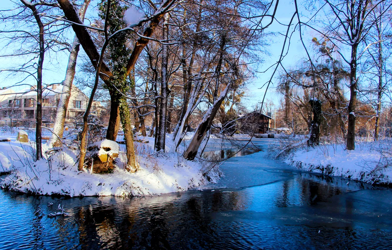 Фото обои park, winter, snow, pond