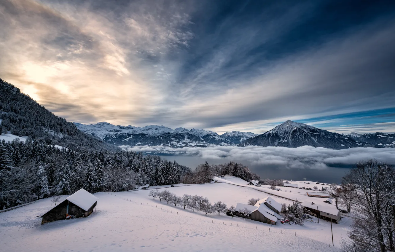 Фото обои зима, снег, деревья, горы, озеро, рассвет, утро, Швейцария