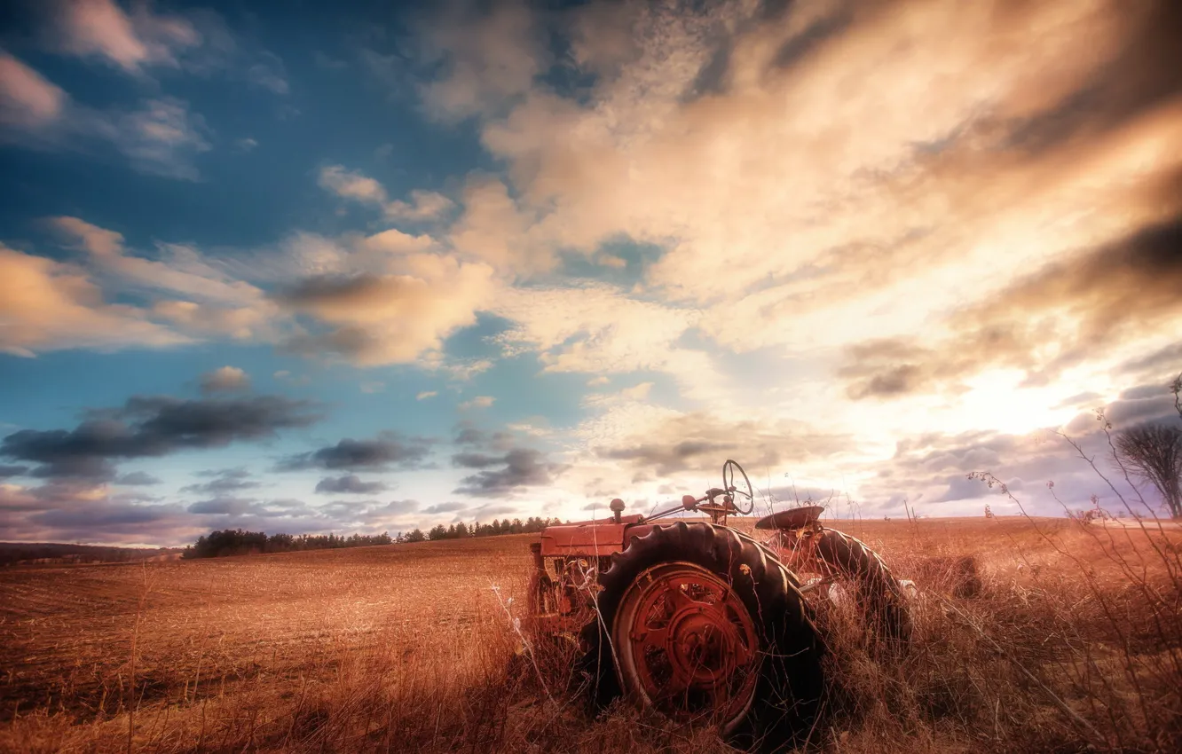 Фото обои поле, небо, трактор