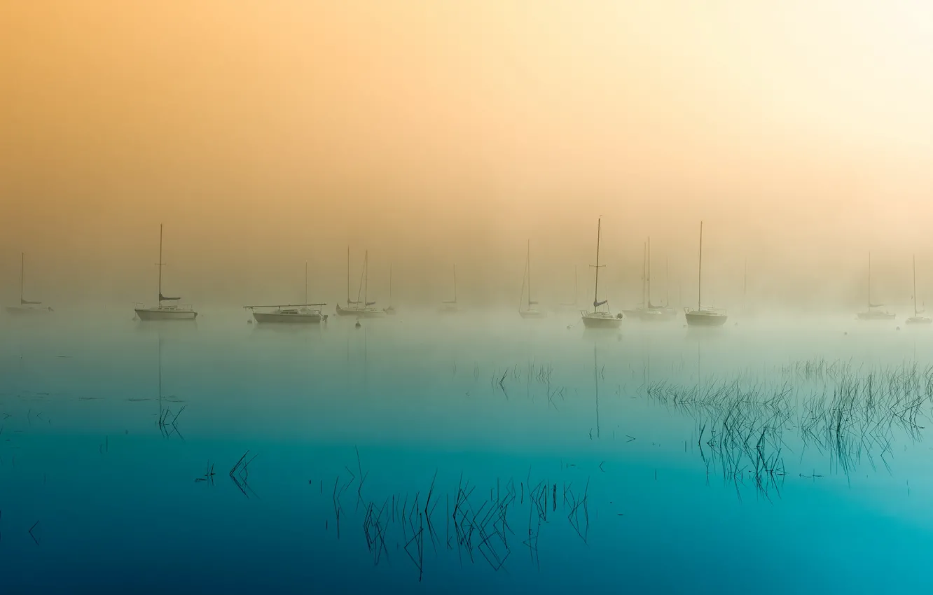 Фото обои пейзаж, туман, озеро, лодки, утро