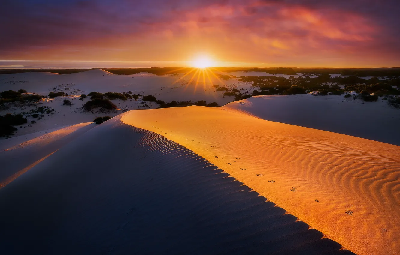 Фото обои песок, закат, дюны, Australia, South Australia, Kangaroo Island, Vivonne Bay, Little Sahara