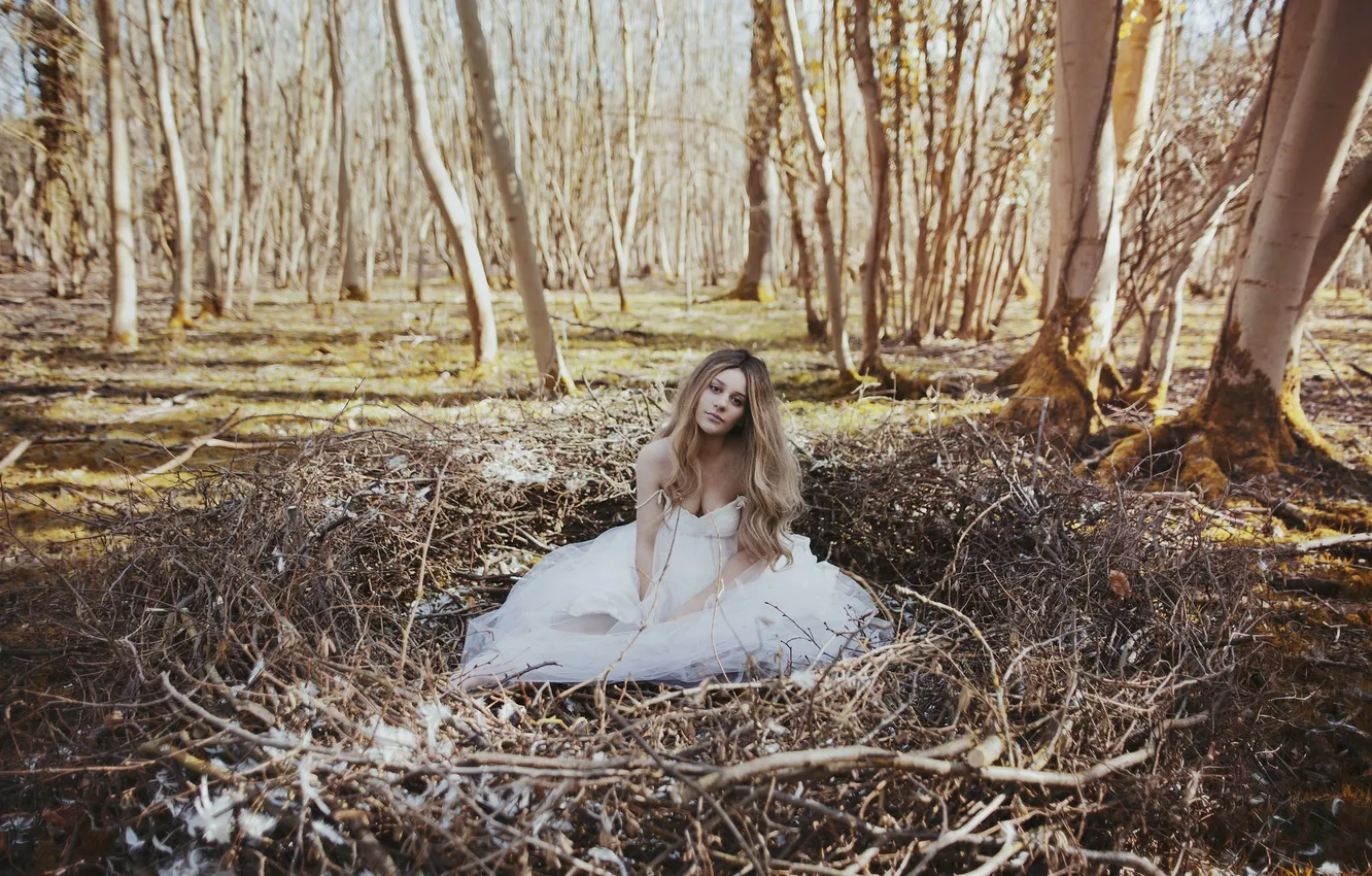Фото обои лес, девушка, платье, гнездо