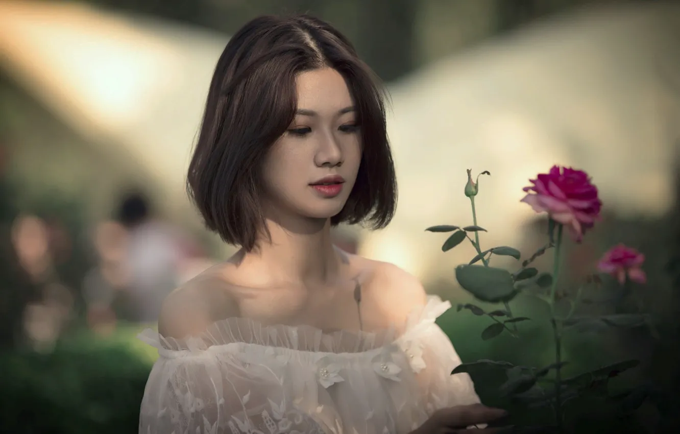 Фото обои девушка, свет, цветы, розы, брюнетка, декольте, азиатка, плечи
