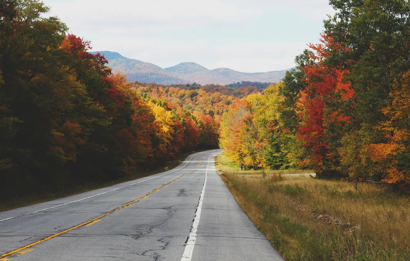 Фото обои дорога, осень, асфальт, деревья, холмы