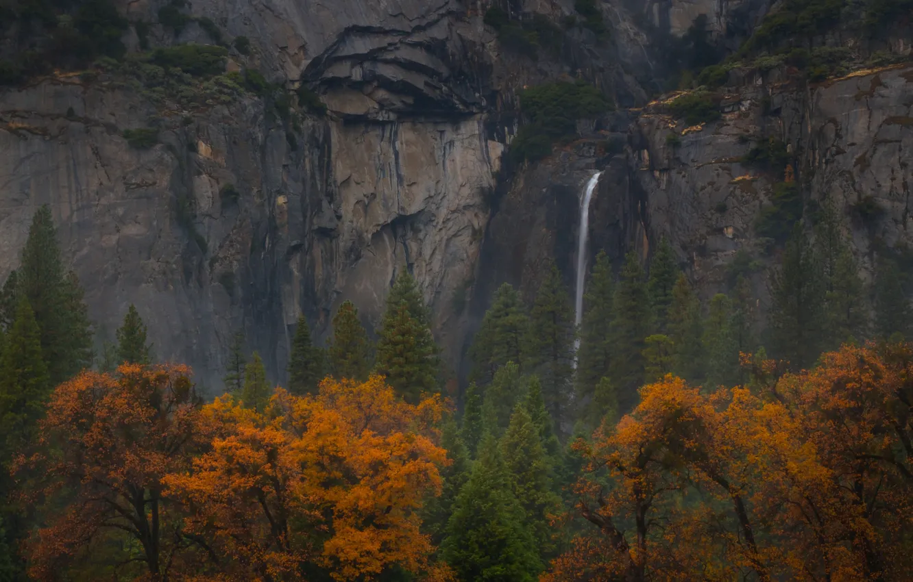 Фото обои осень, деревья, горы, скалы, водопад