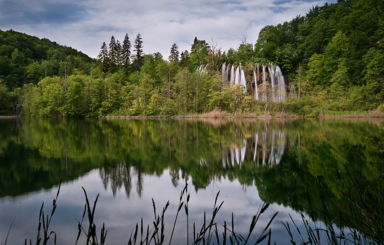 Фото обои лес, небо, трава, облака, деревья, пейзаж, озеро, водопад