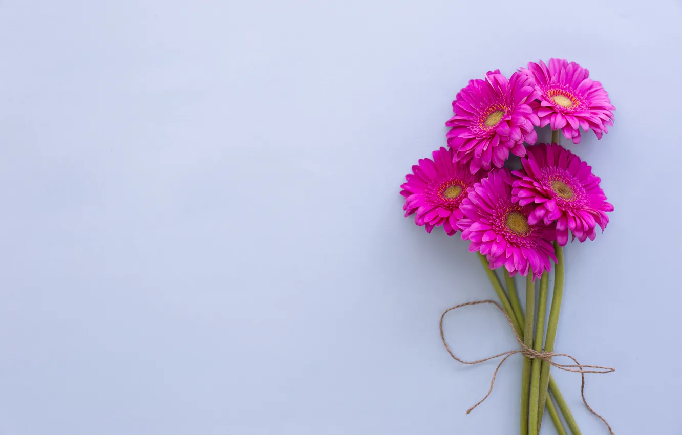 Фото обои цветы, фон, яркие, букет, герберы, pink, flowers, gerbera