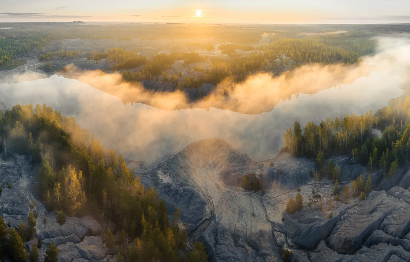 Фото обои colors, forest, river, sunset, fog