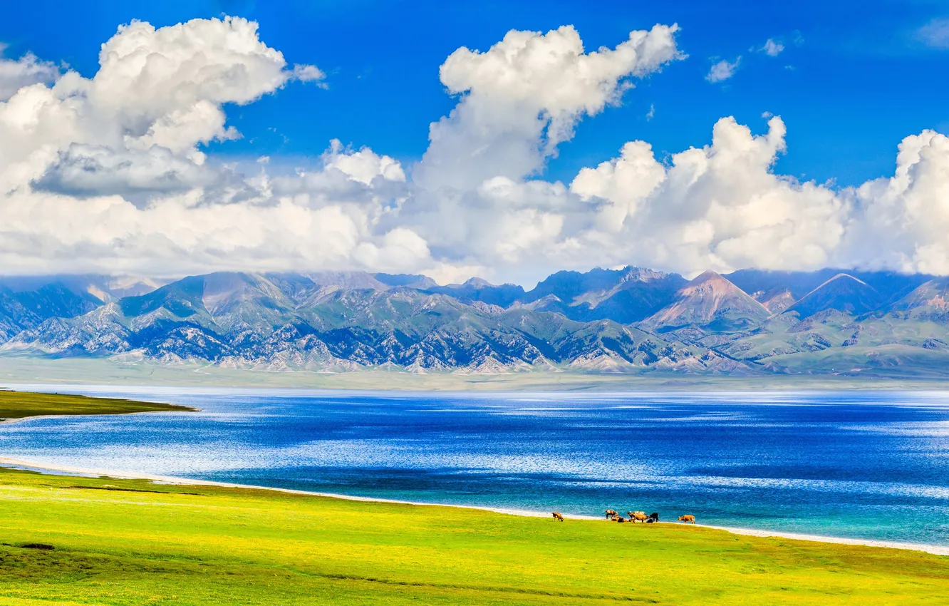 Фото обои лето, облака, горы, красота, простор, summer, водоем, голубое небо