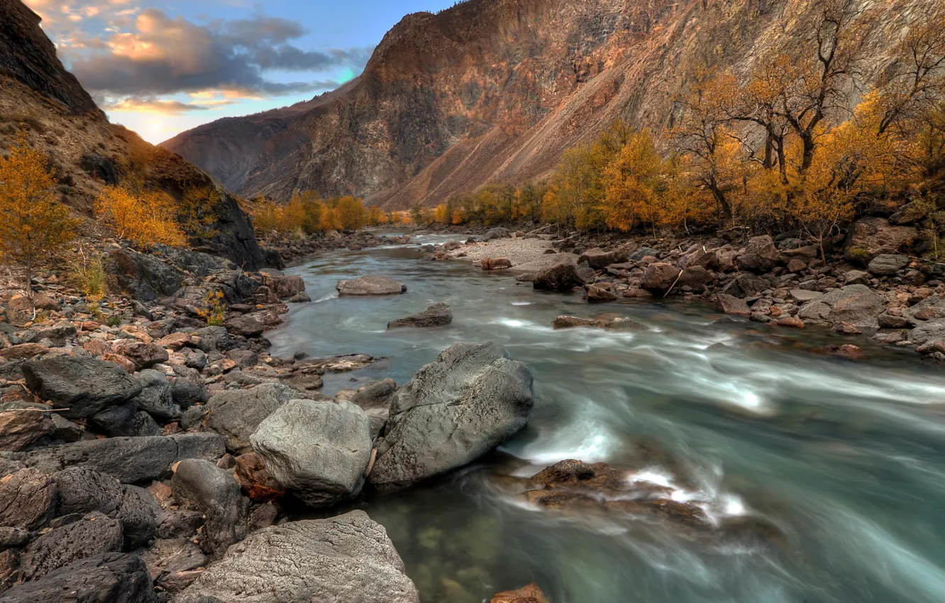Фото обои осень, река, октябрь, Алтай