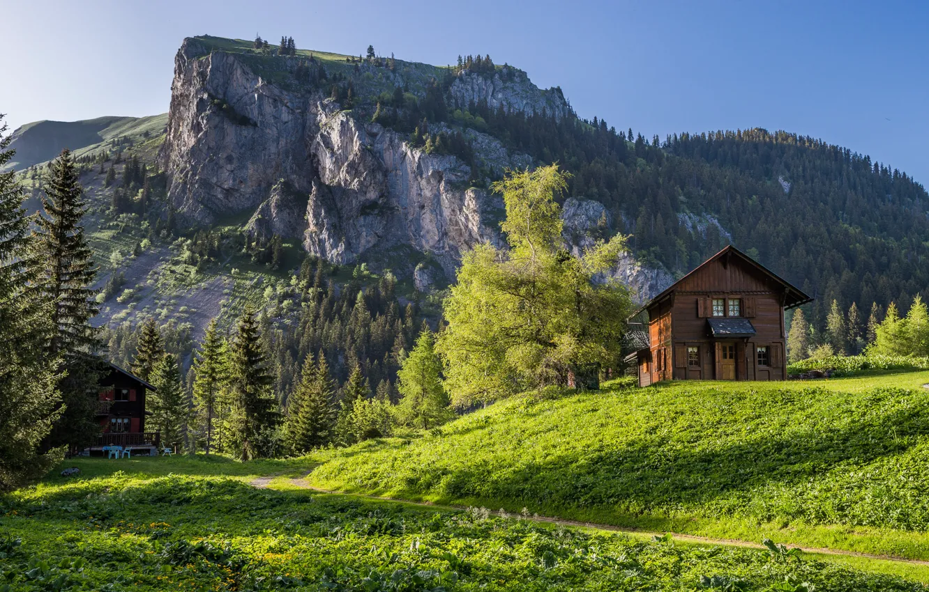 Фото обои деревья, горы, дома, Швейцария, Альпы, Switzerland, Alps, кантон Вале