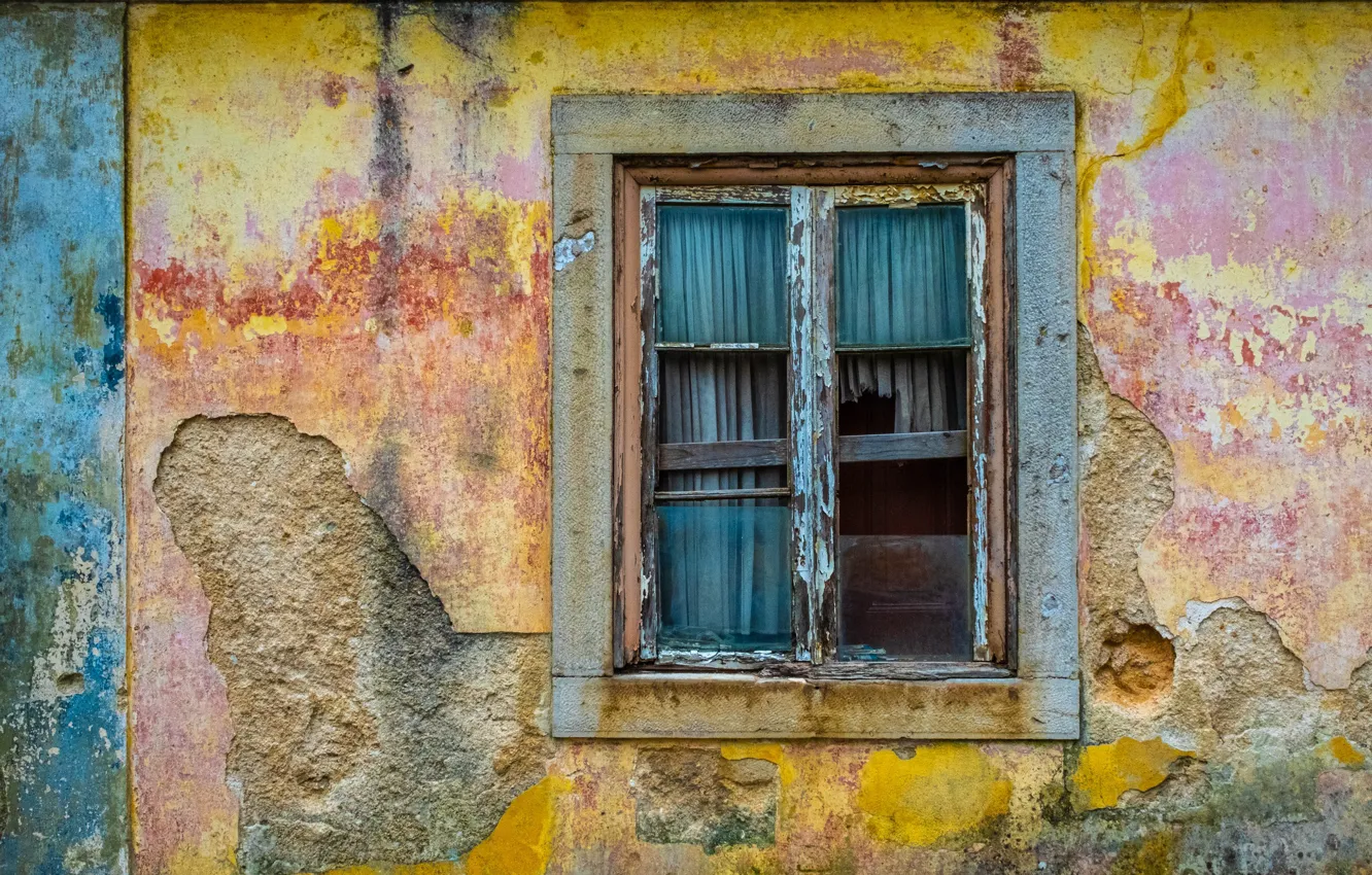 Фото обои дом, стена, окно